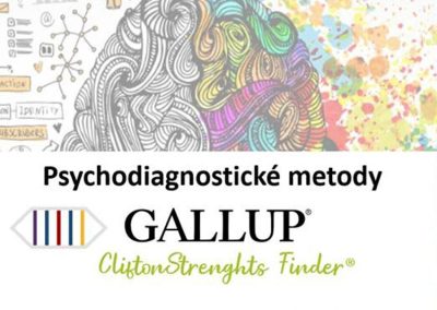 Psychodiagnostické nástroje v HR – metoda Gallup
