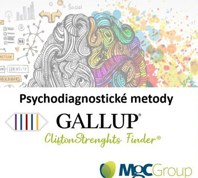 Psychodiagnostické nástroje v HR – metoda Gallup