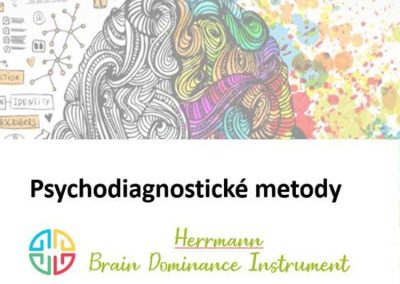 Psychodiagnostické nástroje v HR – metoda HBDI