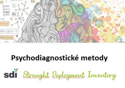 Psychodiagnostické nástroje v HR – metoda SDI
