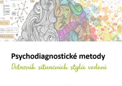 Psychodiagnostické nástroje v HR – Styly vedení
