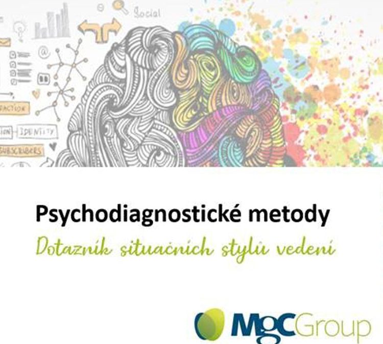 Psychodiagnostické nástroje v HR – Styly vedení